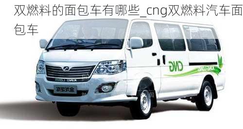 雙燃料的面包車有哪些_cng雙燃料汽車面包車