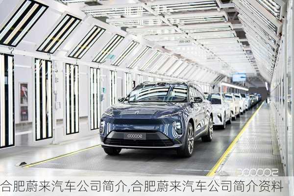 合肥蔚來汽車公司簡介,合肥蔚來汽車公司簡介資料