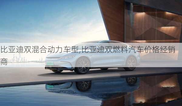 比亞迪雙混合動力車型,比亞迪雙燃料汽車價格經(jīng)銷商