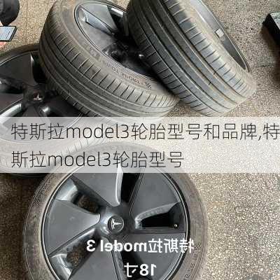 特斯拉model3輪胎型號和品牌,特斯拉model3輪胎型號