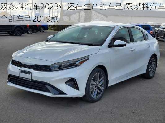 雙燃料汽車2023年還在生產(chǎn)的車型,雙燃料汽車全部車型2019款