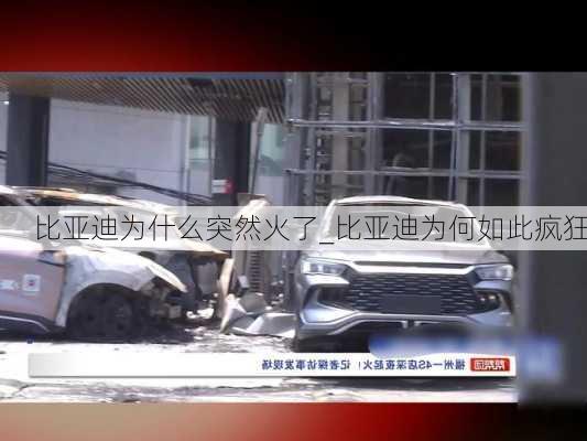 比亞迪為什么突然火了_比亞迪為何如此瘋狂