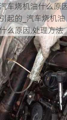 汽車燒機(jī)油什么原因引起的_汽車燒機(jī)油什么原因,處理方法