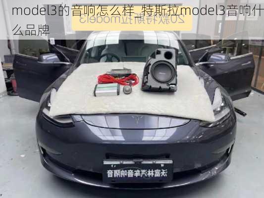 model3的音響怎么樣_特斯拉model3音響什么品牌