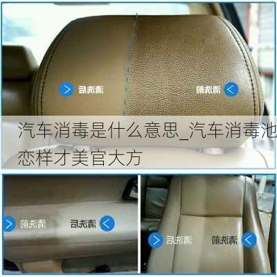 汽車消毒是什么意思_汽車消毒池戀樣才美官大方