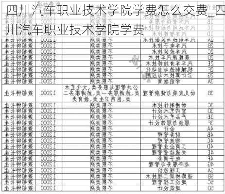 四川汽車職業(yè)技術(shù)學(xué)院學(xué)費(fèi)怎么交費(fèi)_四川汽車職業(yè)技術(shù)學(xué)院學(xué)費(fèi)