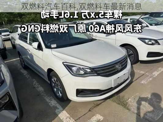 雙燃料汽車百科,雙燃料車最新消息