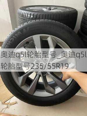 奧迪q5l輪胎型號_奧迪q5l輪胎型號235/55R19