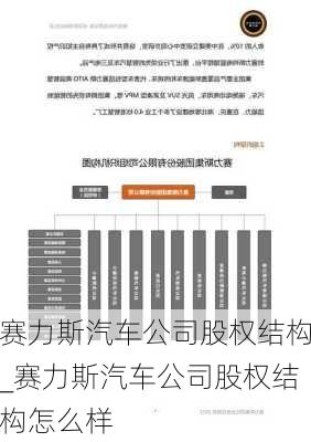 賽力斯汽車公司股權(quán)結(jié)構(gòu)_賽力斯汽車公司股權(quán)結(jié)構(gòu)怎么樣