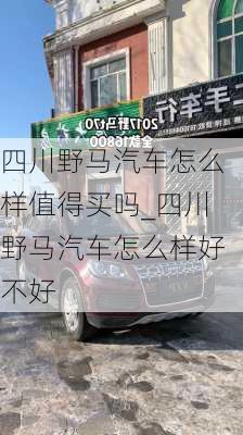 四川野馬汽車怎么樣值得買嗎_四川野馬汽車怎么樣好不好