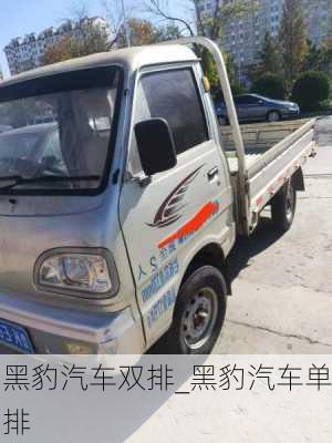 黑豹汽車雙排_(tái)黑豹汽車單排