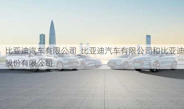 比亞迪汽車(chē)有限公司_比亞迪汽車(chē)有限公司和比亞迪股份有限公司