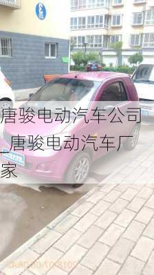 唐駿電動汽車公司_唐駿電動汽車廠家