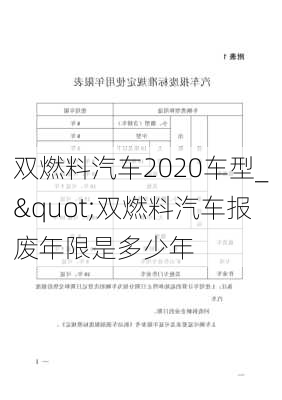 雙燃料汽車2020車型_