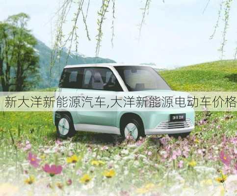 新大洋新能源汽車,大洋新能源電動(dòng)車價(jià)格