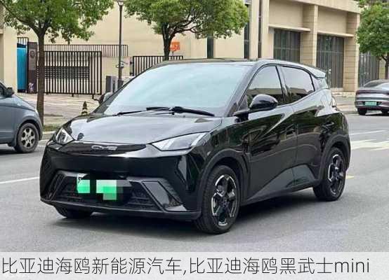 比亞迪海鷗新能源汽車,比亞迪海鷗黑武士mini