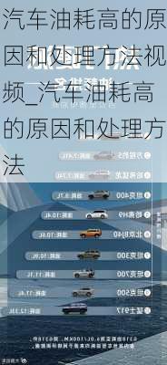 汽車(chē)油耗高的原因和處理方法視頻_汽車(chē)油耗高的原因和處理方法