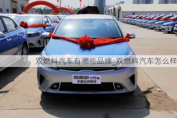 雙燃料汽車有哪些品牌_雙燃料汽車怎么樣