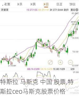 特斯拉 馬斯克 中國 股票,特斯拉ceo馬斯克股票價格