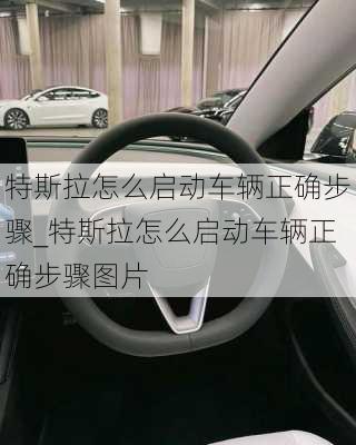 特斯拉怎么啟動車輛正確步驟_特斯拉怎么啟動車輛正確步驟圖片