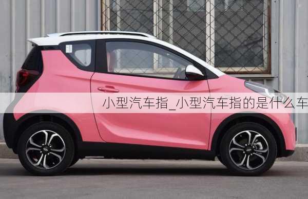 小型汽車指_小型汽車指的是什么車