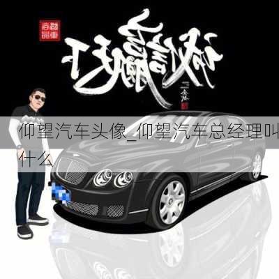 仰望汽車(chē)頭像_仰望汽車(chē)總經(jīng)理叫什么