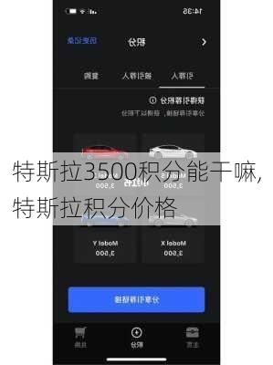 特斯拉3500積分能干嘛,特斯拉積分價(jià)格