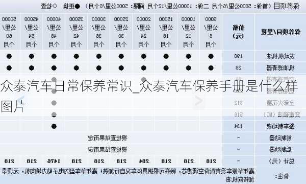 眾泰汽車日常保養(yǎng)常識(shí)_眾泰汽車保養(yǎng)手冊(cè)是什么樣圖片