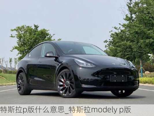 特斯拉p版什么意思_特斯拉modely p版