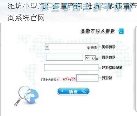 濰坊小型汽車違章查詢,濰坊車輛違章查詢系統(tǒng)官網(wǎng)