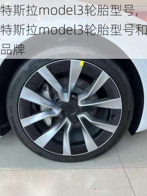 特斯拉model3輪胎型號,特斯拉model3輪胎型號和品牌