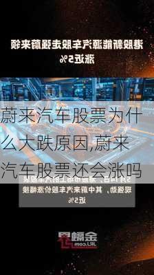 蔚來汽車股票為什么大跌原因,蔚來汽車股票還會漲嗎