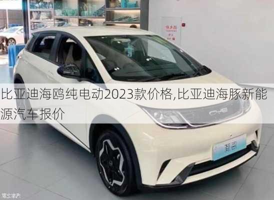 比亞迪海鷗純電動2023款價格,比亞迪海豚新能源汽車報價