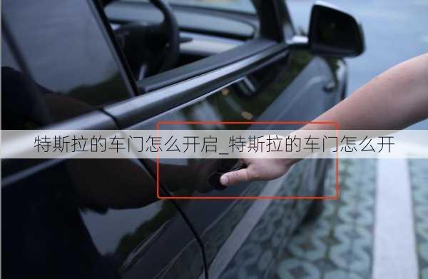 特斯拉的車門怎么開啟_特斯拉的車門怎么開