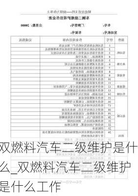 雙燃料汽車二級維護是什么_雙燃料汽車二級維護是什么工作