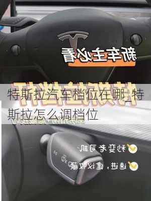 特斯拉汽車檔位在哪_特斯拉怎么調(diào)檔位