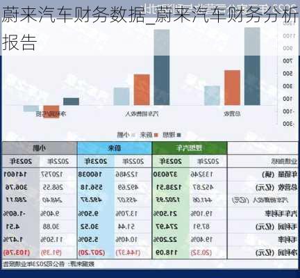 蔚來汽車財(cái)務(wù)數(shù)據(jù)_蔚來汽車財(cái)務(wù)分析報(bào)告