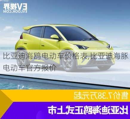 比亞迪海鷗電動車價格表,比亞迪海豚電動車官方報價