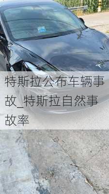 特斯拉公布車(chē)輛事故_特斯拉自然事故率