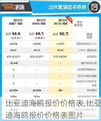 比亞迪海鷗報價價格表,比亞迪海鷗報價價格表圖片