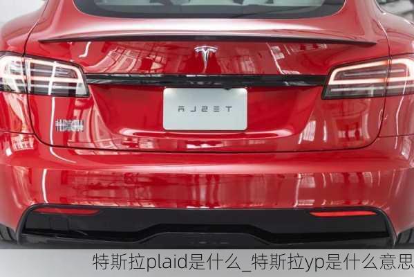 特斯拉plaid是什么_特斯拉yp是什么意思