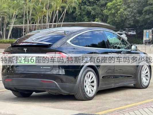 特斯拉有6座的車嗎,特斯拉有6座的車嗎多少錢