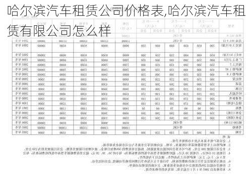 哈爾濱汽車租賃公司價(jià)格表,哈爾濱汽車租賃有限公司怎么樣