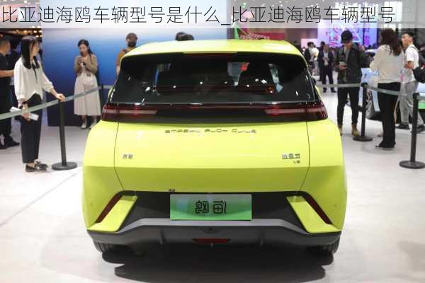 比亞迪海鷗車輛型號是什么_比亞迪海鷗車輛型號