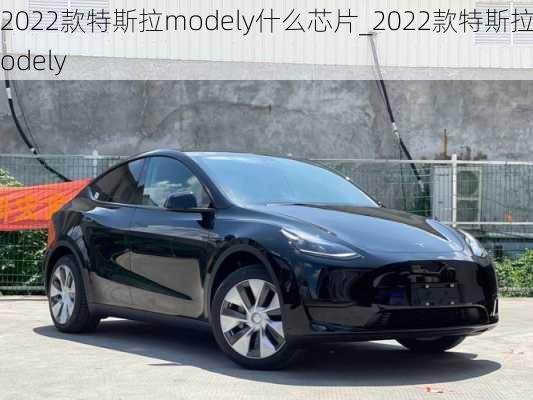 2022款特斯拉modely什么芯片_2022款特斯拉modely