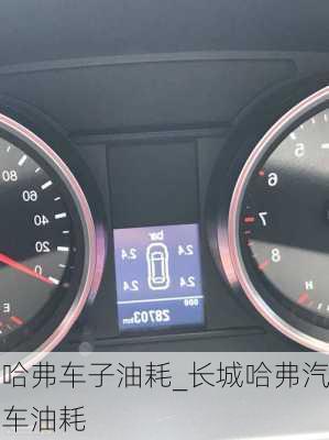 哈弗車子油耗_長城哈弗汽車油耗