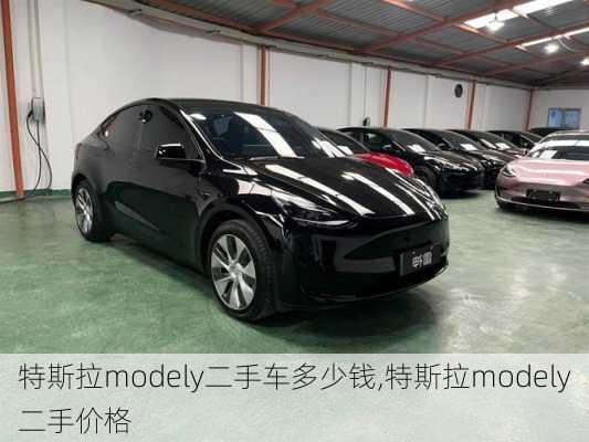 特斯拉modely二手車多少錢,特斯拉modely二手價格