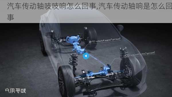 汽車傳動軸吱吱響怎么回事,汽車傳動軸響是怎么回事