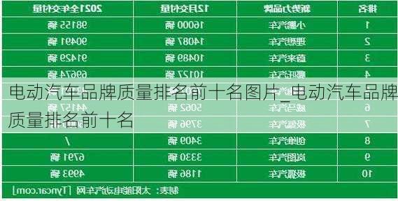 電動(dòng)汽車(chē)品牌質(zhì)量排名前十名圖片_電動(dòng)汽車(chē)品牌質(zhì)量排名前十名