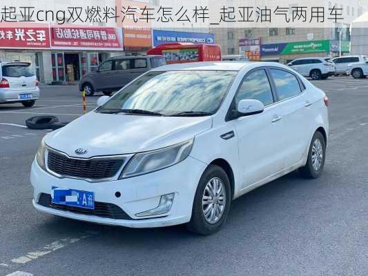 起亞cng雙燃料汽車怎么樣_起亞油氣兩用車